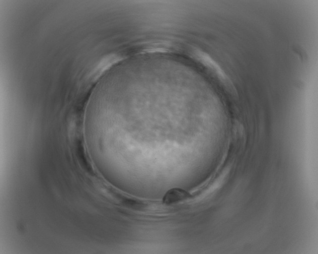 X0000114221353200910231434