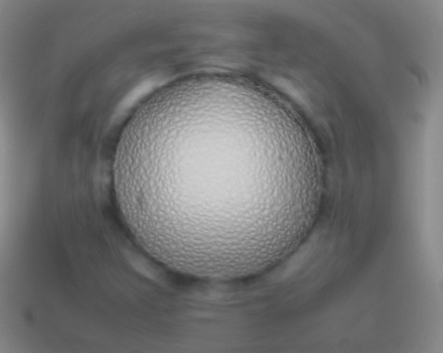 X0000114221355200910231434