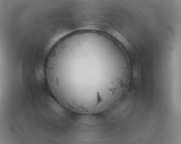 X0000114221356200910231434