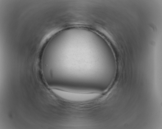 X0000114221357200910231434