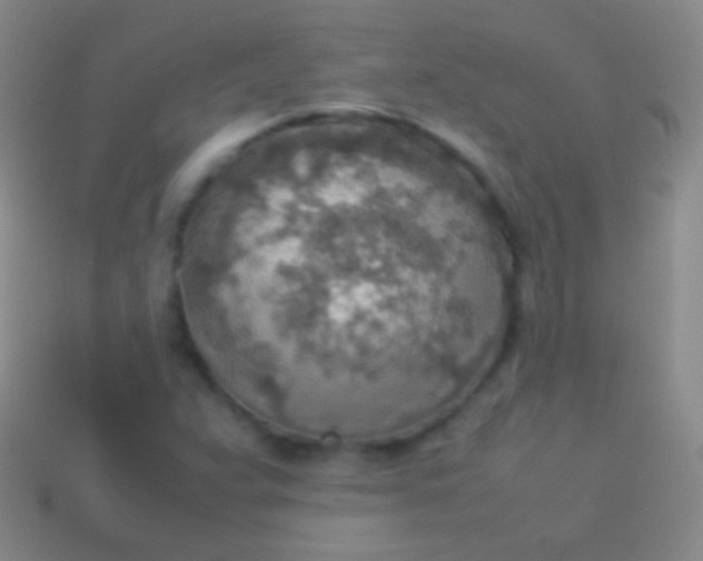 X0000114221359200910231434