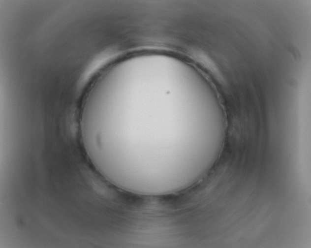 X0000114221360200910231434