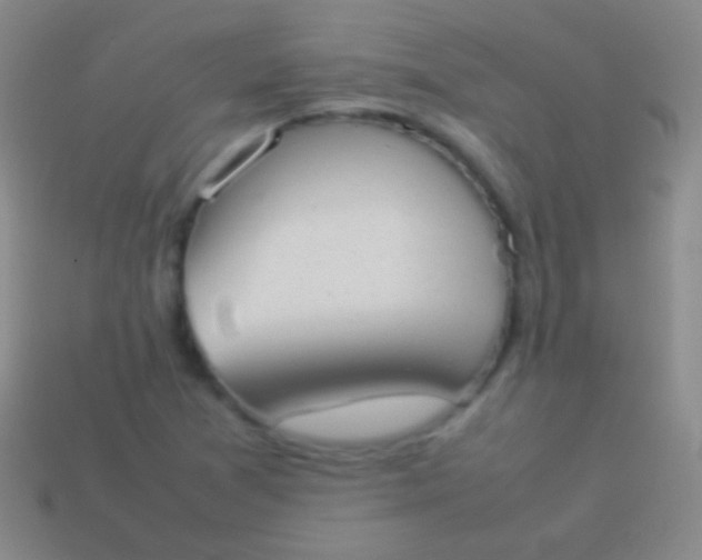 X0000114221361200910231434