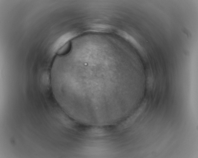 X0000114221362200910231434