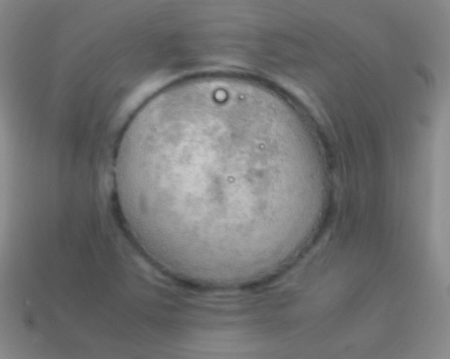 X0000114221363200910231434