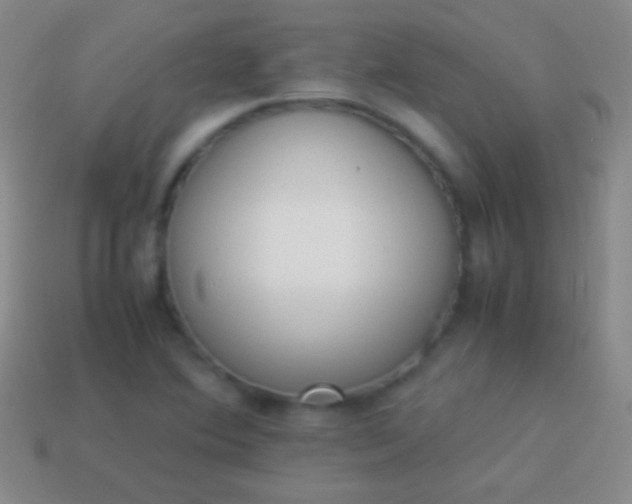 X0000114221364200910231434