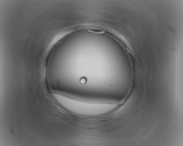 X0000114221365200910231434