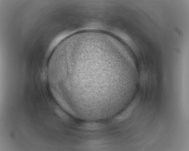 X0000114221366200910231434