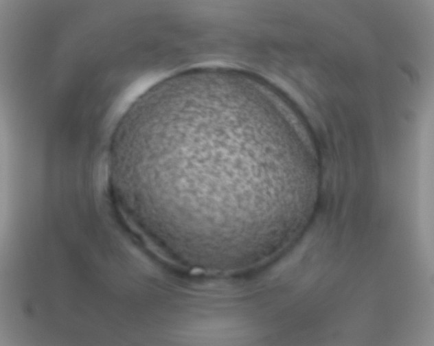 X0000114221367200910231434