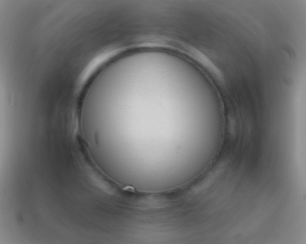 X0000114221368200910231434