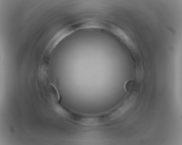 X0000114221369200910231434