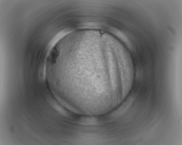 X0000114221370200910231434