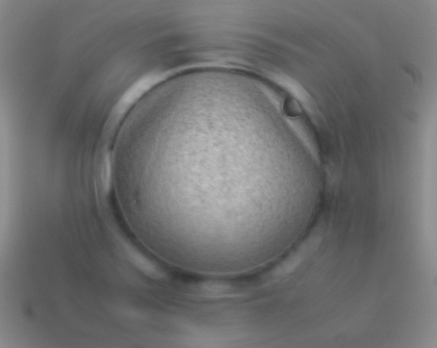 X0000114221371200910231434