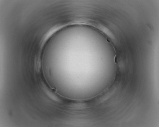 X0000114221372200910231434