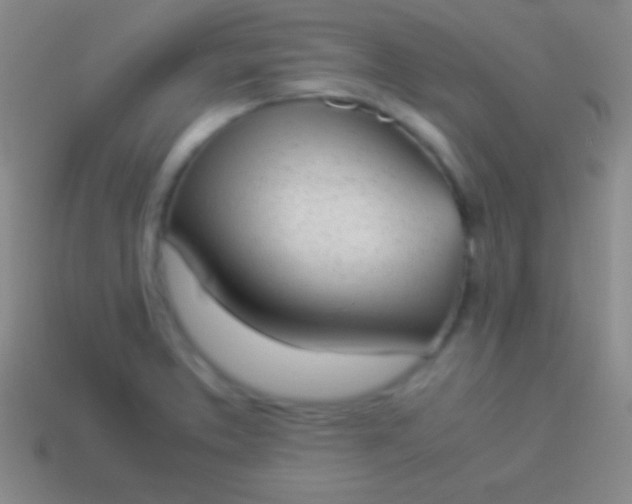 X0000114221373200910231434