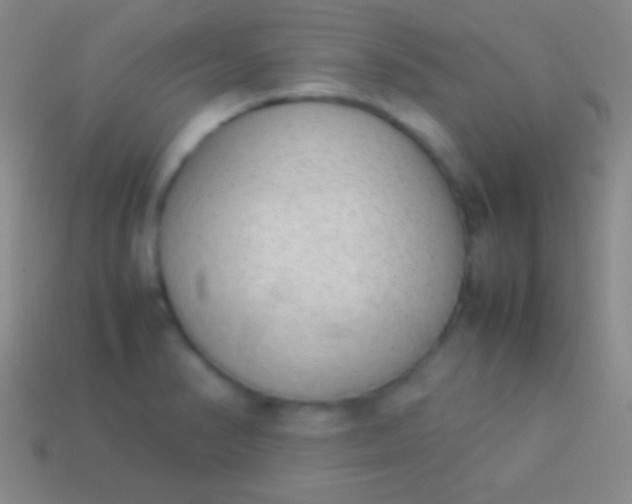 X0000114221374200910231434