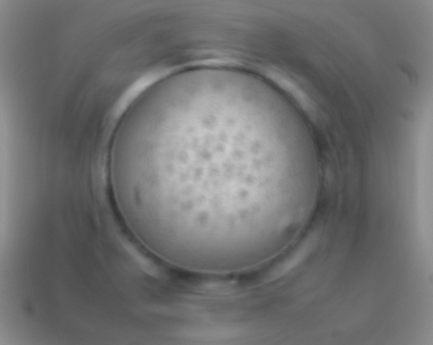 X0000114221375200910231434