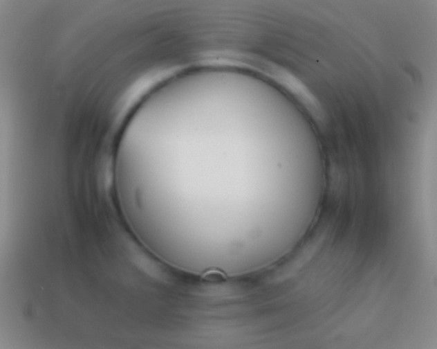 X0000114221376200910231434