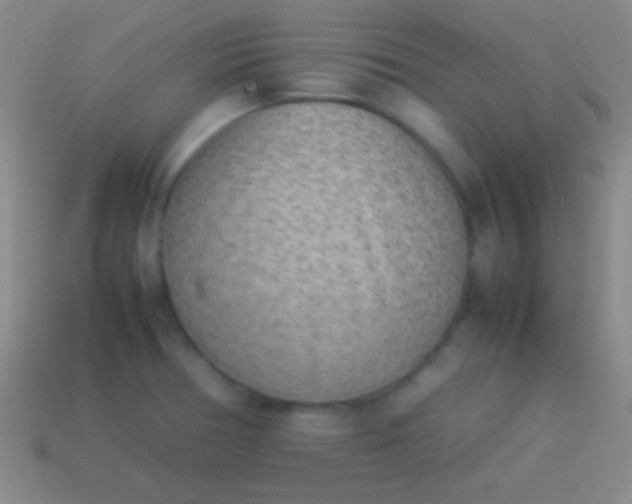 X0000114221378200910231434