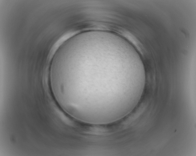 X0000114221379200910231434