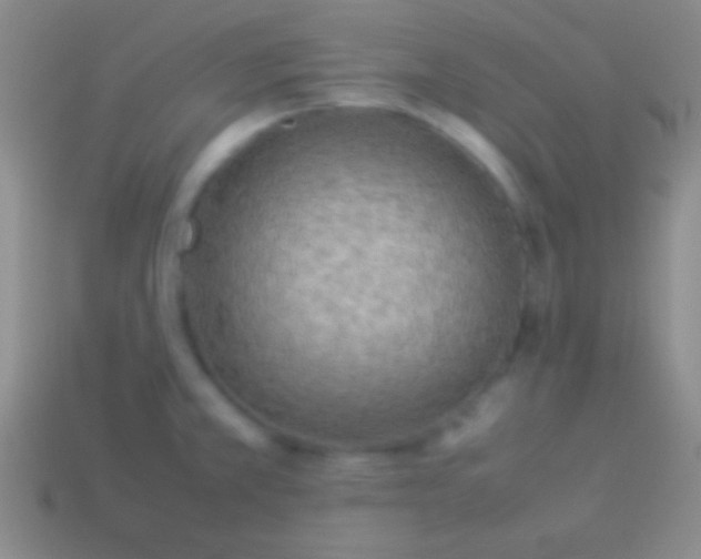 X0000114221381200910231434