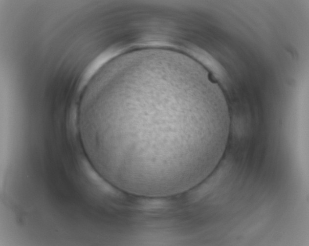 X0000114221382200910231434