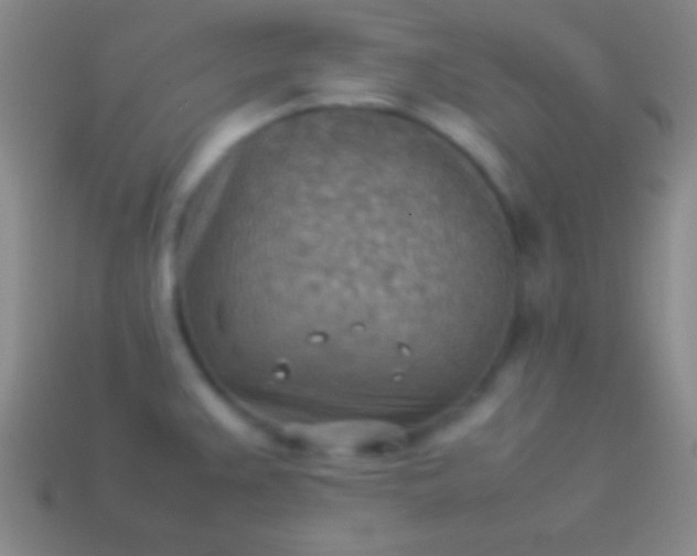 X0000114221383200910231434