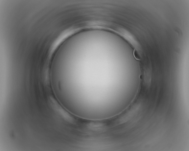 X0000114221384200910231434