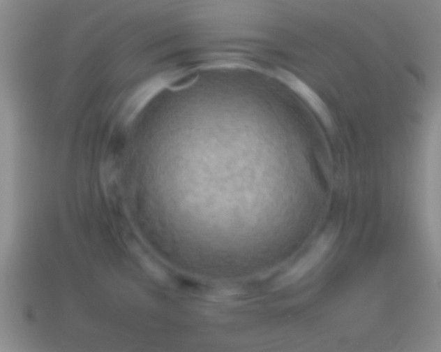 X0000114221385200910231434