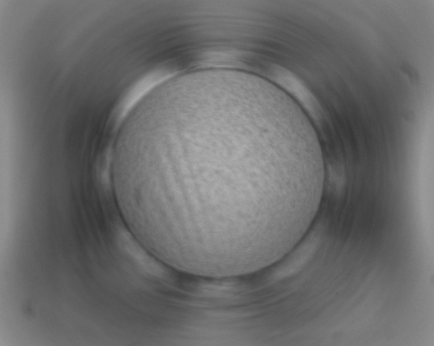 X0000114221386200910231434