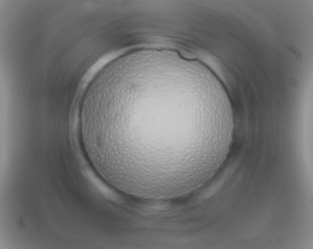 X0000114221387200910231434