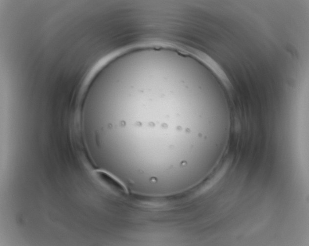 X0000114221388200910231434