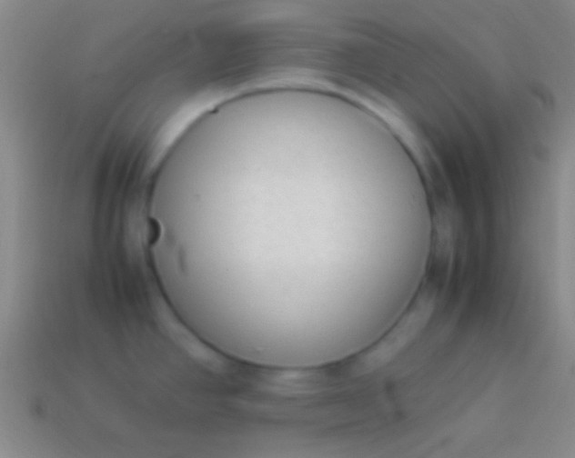 X0000114221390200910231434