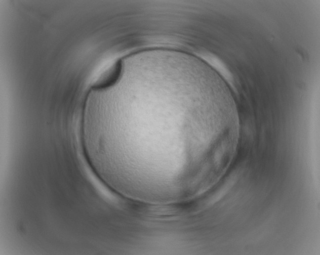 X0000114221391200910231434