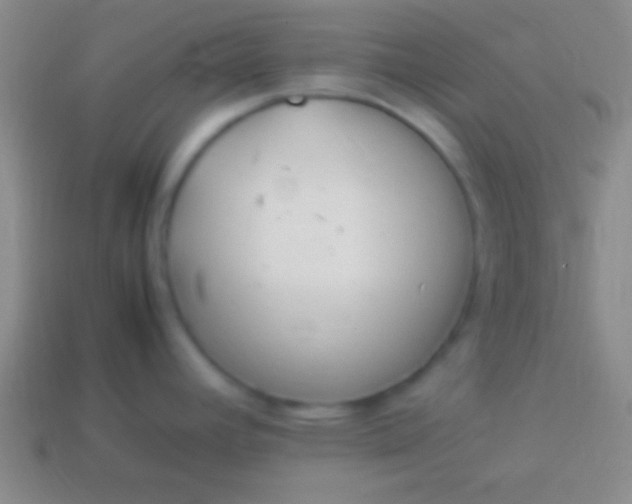 X0000114221392200910231434