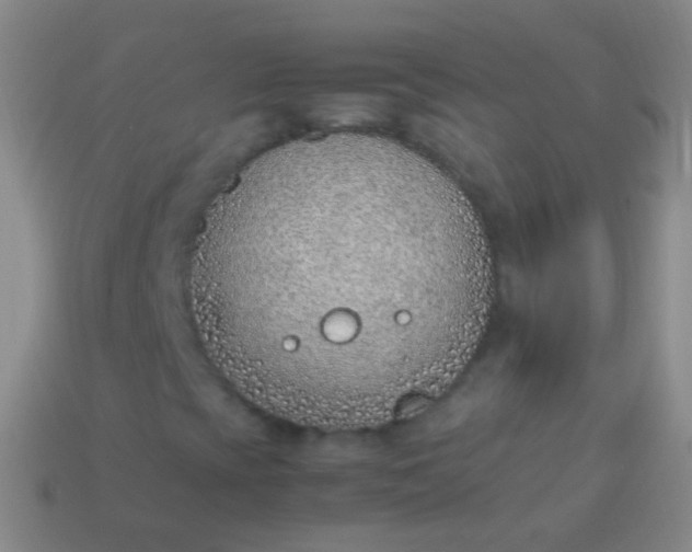 X0000114221393200910231433