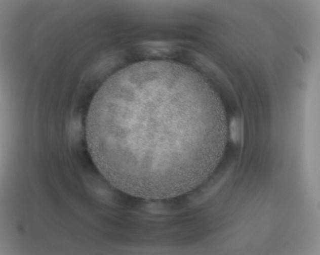 X0000114221395200910231433