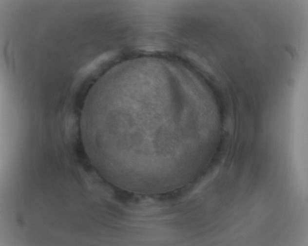 X0000114221398200910231433