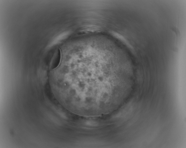 X0000114221399200910231433