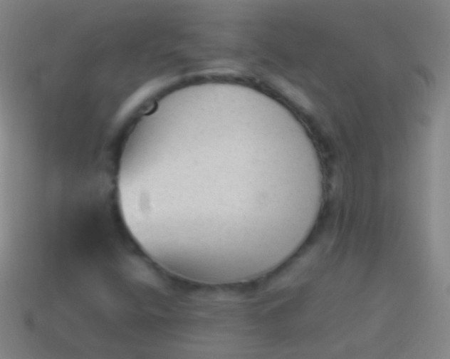 X0000114221400200910231433