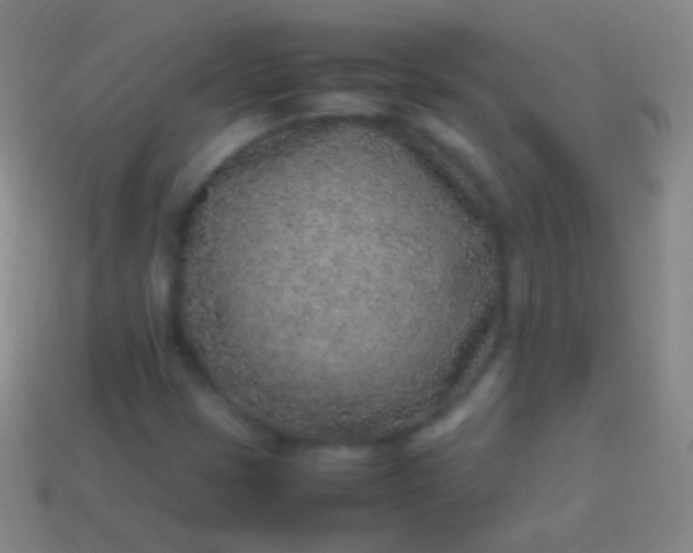 X0000114221401200910231433