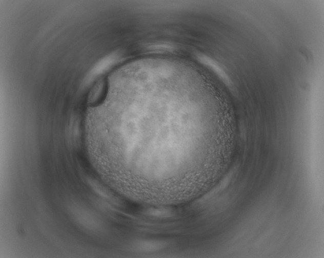 X0000114221403200910231433