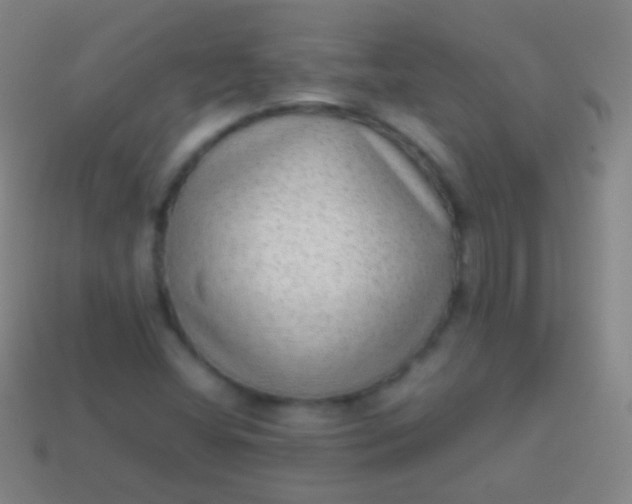 X0000114221404200910231433