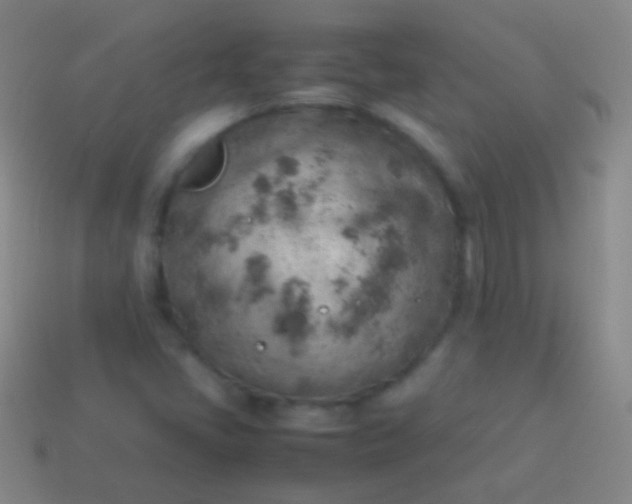 X0000114221405200910231433