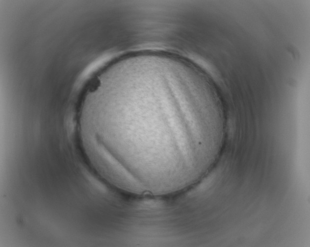 X0000114221406200910231433