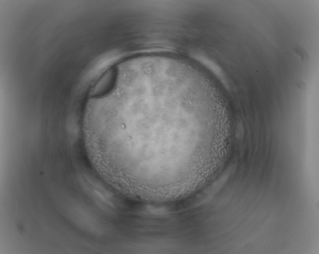 X0000114221407200910231433