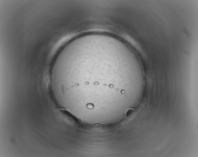 X0000114221408200910231433