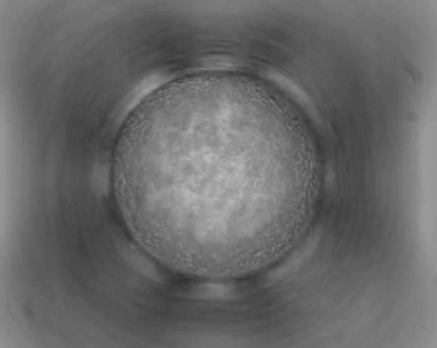 X0000114221409200910231433