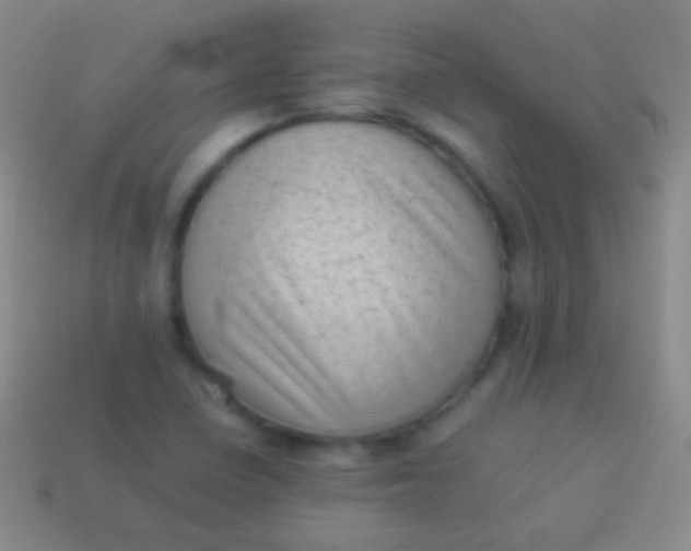 X0000114221410200910231433