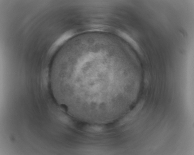 X0000114221411200910231433